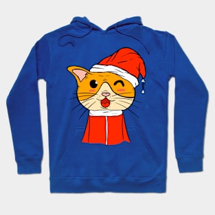 Cat Christmas Funny Hoodie